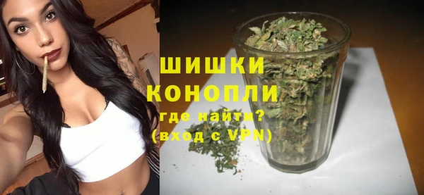 молекула духа Осташков
