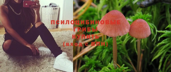 кокаин колумбия Заводоуковск